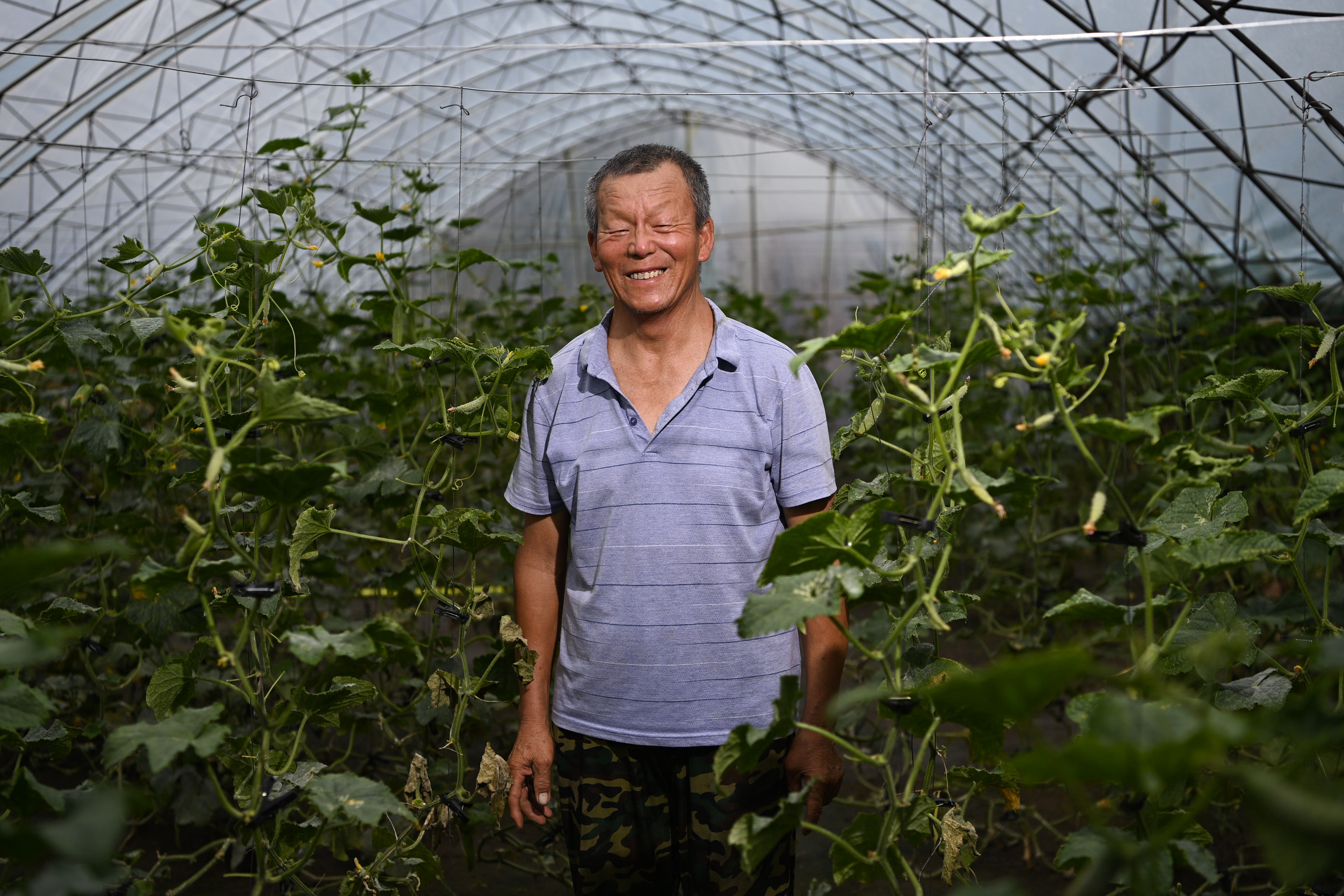 杜建华，铁东区叶赫村人，因老伴高度残疾致贫。扶贫政策给他带来三个蔬菜大棚，成功脱贫，现在大棚每年增收5000元以上。.jpg