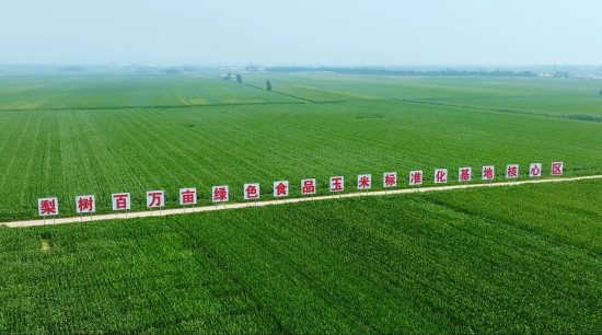 四平城市片.00_02_14_11.Still004.jpg 四平城市片.00_02_14_11.Still004.jpg