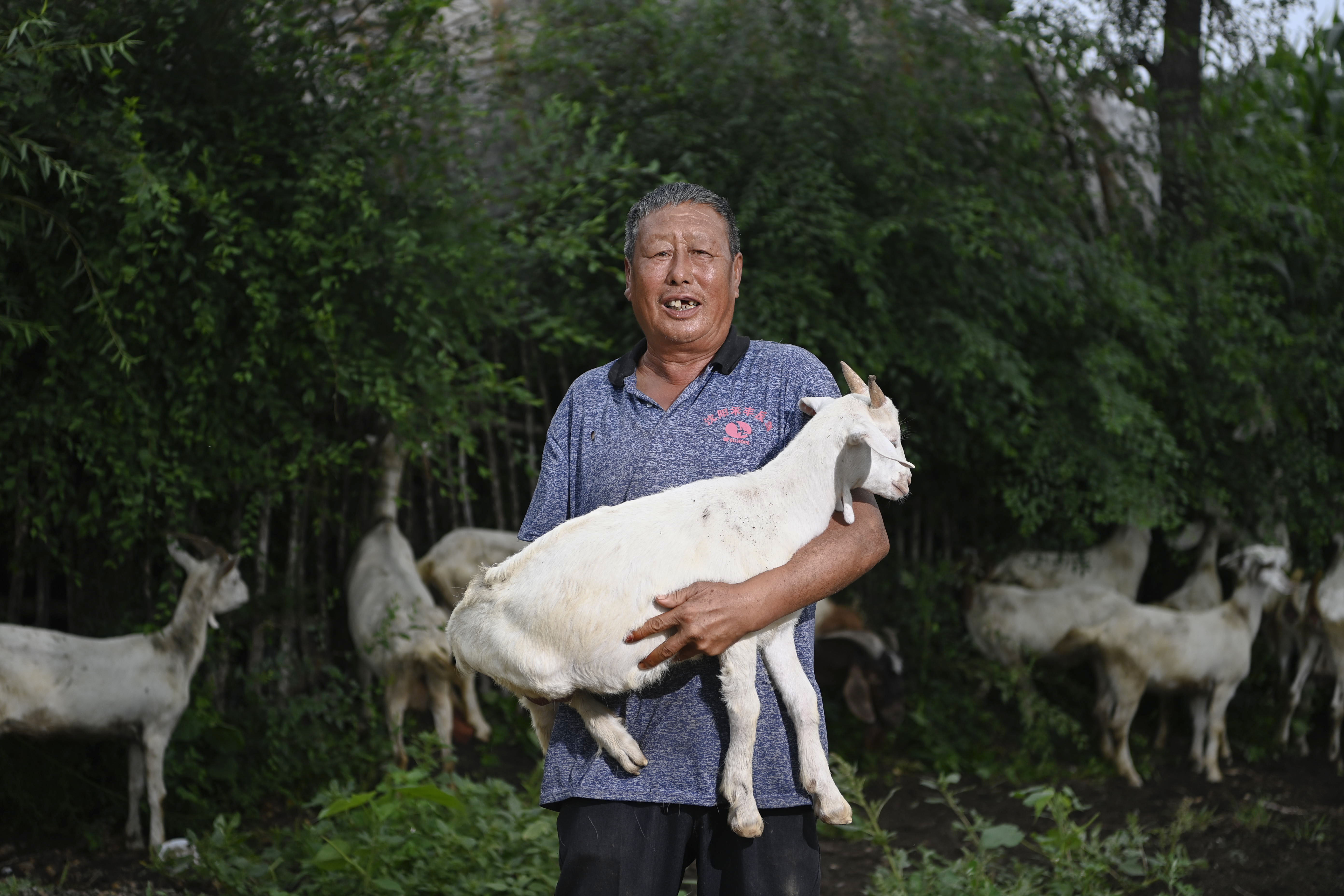 刘长江，铁西区西条子河村村民。在铁西区扶贫资金帮扶下，他家从两只羊变成几十只羊。脱贫不是终点，小康指日可待。.jpg